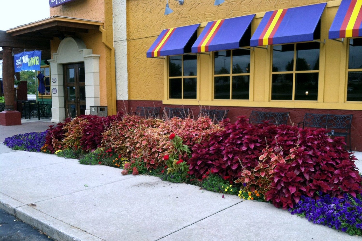 Commercial Landscape Companies West Michigan