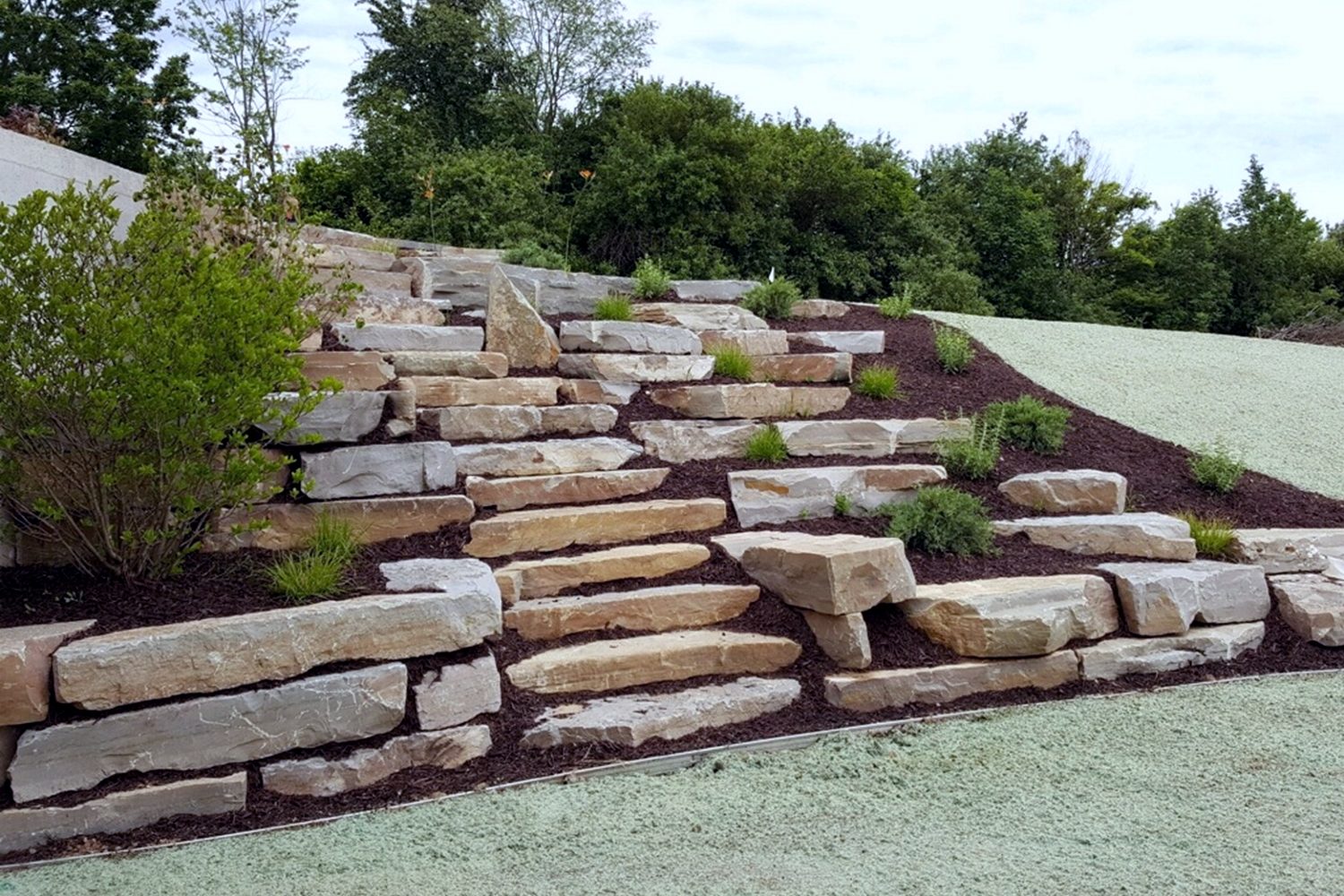 Hydroseeding Company in Grand Rapids MI