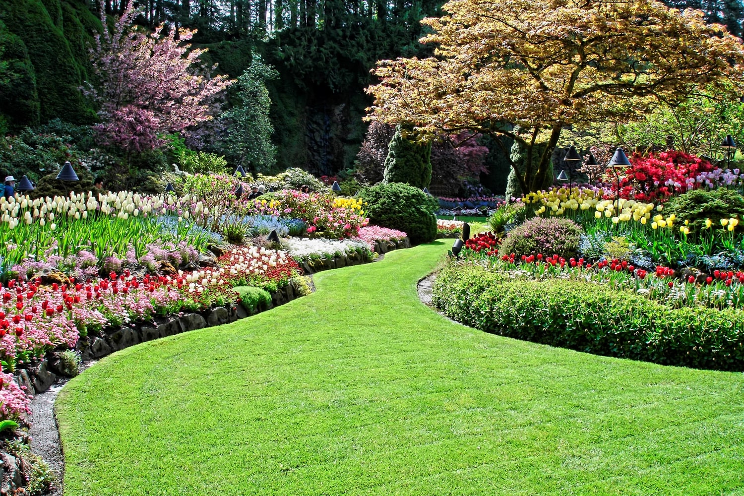 Landscapers Wellington